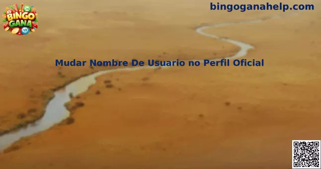 Guía para cambiar nombre de usuario en Bingo Gana